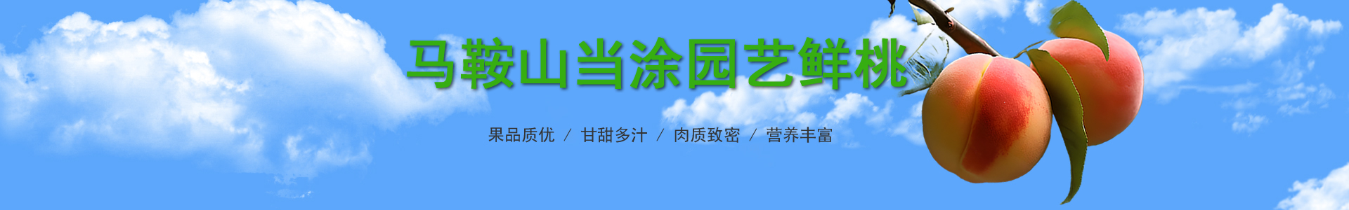 深马供应链